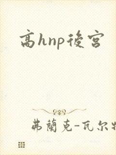 高hnp后宫
