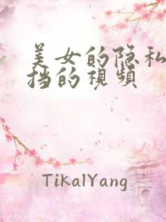 美女的隐私无遮挡的视频