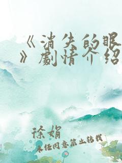 《消失的眼角膜》剧情介绍