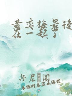 黄奕梅最后和谁在一起了