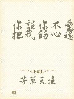 你说你不爱我就把我的心还我