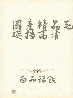 国产精品毛片无遮挡高清