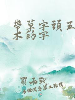 带草字头五行属木的字