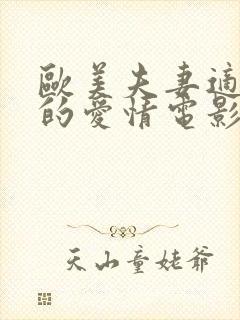 欧美夫妻适宜看的爱情电影