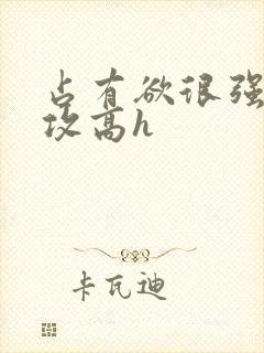 占有欲很强糙汉攻高h