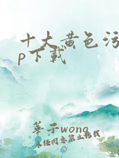 十大黄色污app下载