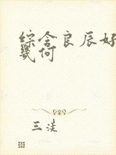 综含良辰好景知几何