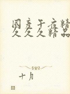 国产午夜精品久久久久精品