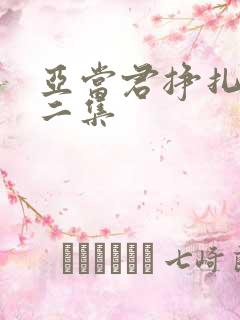 亚当君挣扎吧第二集