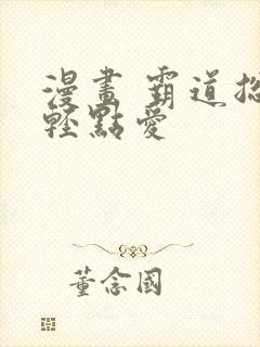 漫画 霸道总裁轻点爱