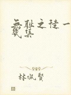 无耻之徒一季有几集