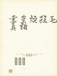 袁崇焕杀毛文龙真相