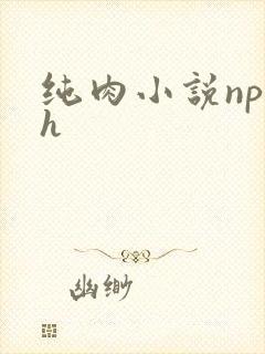 纯肉小说np高h