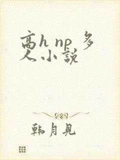 高h np 多人小说