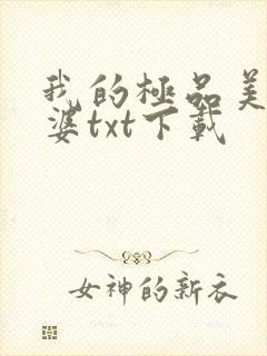 我的极品美女老婆txt下载