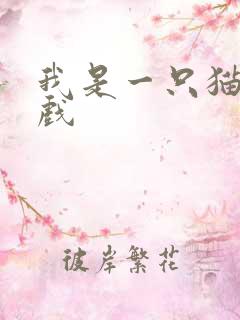 我是一只猫 游戏