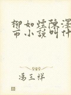 柳如烟陈泽的都市小说叫什么