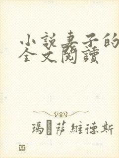 小说妻子的秘密全文阅读