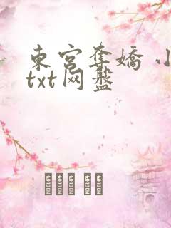东宫夺娇 小说txt网盘