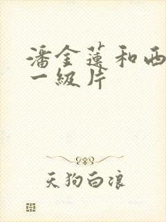 潘金莲和西门庆一级片