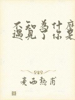 不知为什么让我遇见了你是什么歌