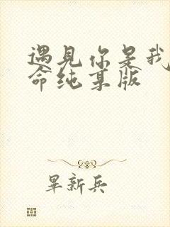 遇见你是我的宿命纯享版