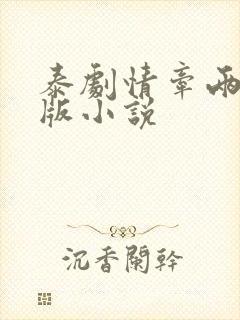 泰剧情牵两世原版小说