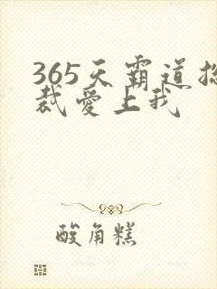 365天霸道总裁爱上我