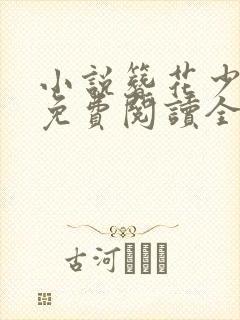 小说簪花少年郎免费阅读全文