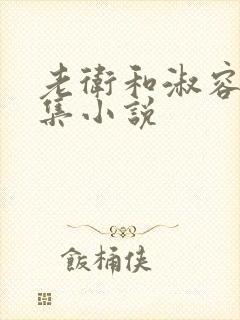 老卫和淑容的全集小说