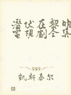 潜伏在黎明之前电视剧全集剧情介绍