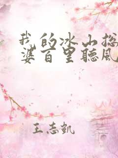 我的冰山总裁老婆百里听风
