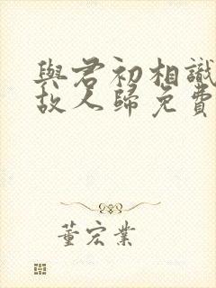 与君初相识犹如故人归免费看