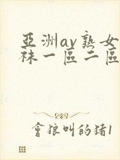 亚洲av熟女丝袜一区二区三区