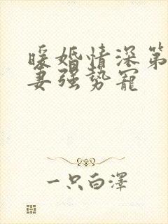 暖婚情深第一娇妻强势宠