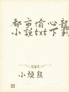 都市偷心龙爪手小说txt下载