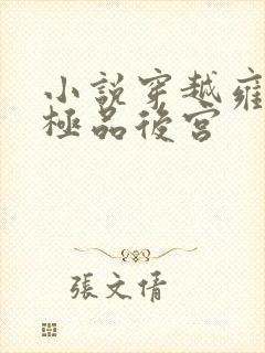 小说穿越雍正之极品后宫