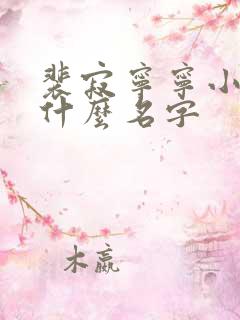 裴寂宁宁小说叫什么名字