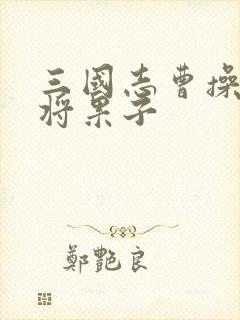 三国志曹操传武将果子