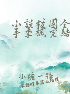 小说校园全能高手季枫完结版