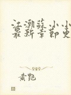 江潮苏小小小说最新章节更新列表