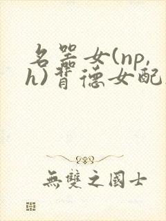 名器女(np,h)背德女配h