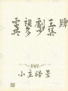 电视剧王牌部队共多少集