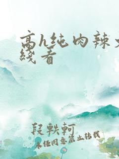 高h纯肉辣文在线看
