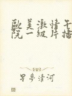 欧美激情午夜影院一级片播放,