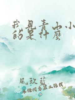 我见青山小说讲的是什么