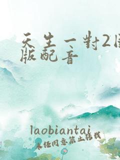 天生一对2国语版配音