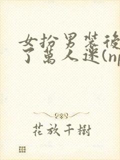 女扮男装后我成了万人迷(nph