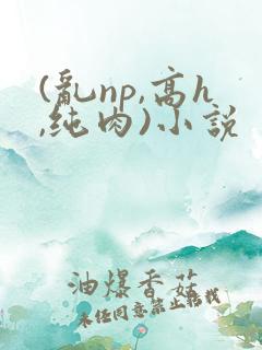 (乱np,高h,纯肉)小说