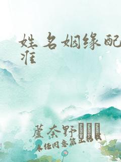 姓名姻缘配对超准